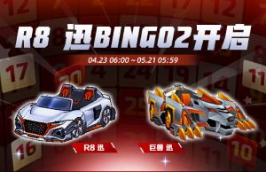 �����ܿ�������  R8Ѹ��ʽ�ǳ� BINGO2����
