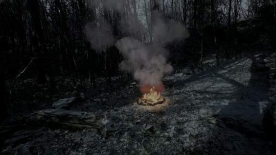 PS5独占生存新作《废弃》预告 在森林中开始逃亡之旅