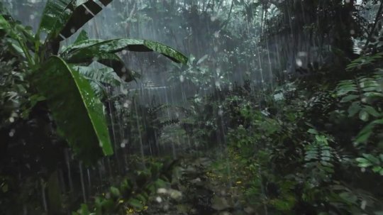 网友自制虚幻引擎5《孤岛惊魂》风格雨林演示 画面逼真