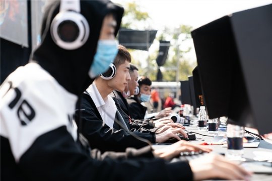 15��������������˾�����