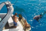 R�Ƕ����ڲ��ṫ����GTA6������ģʽ����