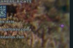 ��GTA6��й¶������֤Ϊ�棡֪�������˽���