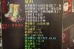 大话2一双十五级鞋子,炼化50次的属性很靓